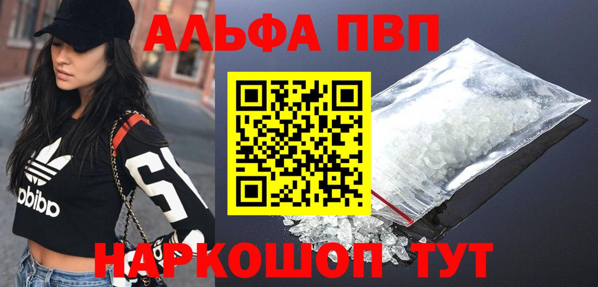 A PVP СК Сыктывкар