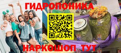 крисы Обь